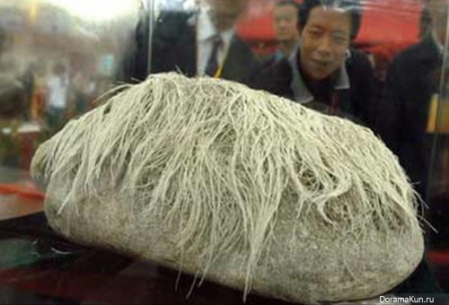 hairy stone