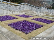 Awaji Yumebutai
