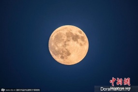 Lunar festival