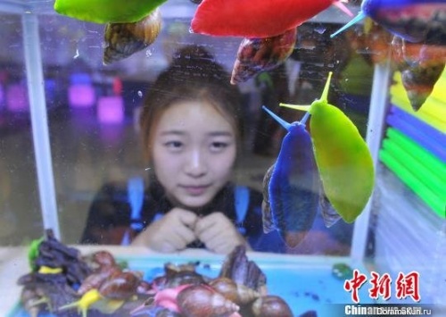 Ocean Park