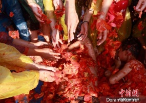tomato fight