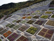 Awaji Yumebutai