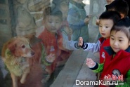 kindergarten - zoo