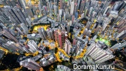 China, Andy Yeung,Urban Jungle