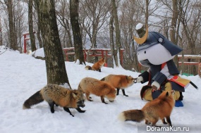 Zao fox Village