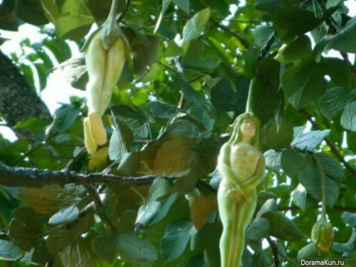 Уникальные растения Азии