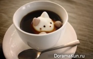 Kazuki Yamamoto