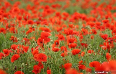 Таиланд. Музей опиума