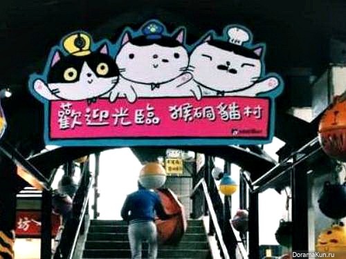 Houtong Cat