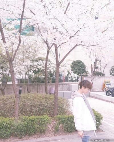 JaeHo JaeHo