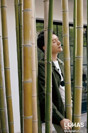 Feng Shao Feng