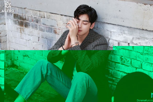 Cha Eun Woo