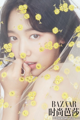 Park Shin Hye