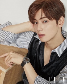 Cha Eun Woo