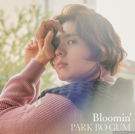 Park Bo Gum
