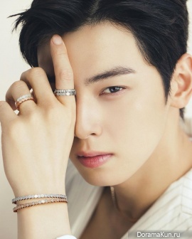 Cha Eun Woo