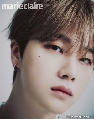 Kim Jin Hwan