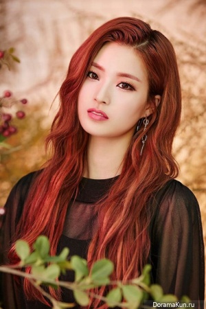 D.Ana D.Ana