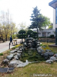 Природа Тэгу