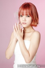 AOA для N.O.Q 2014 CF
