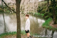 BTS для The Age of Blossoms