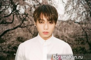BTS для The Age of Blossoms