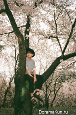 BTS для The Age of Blossoms