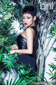 Cheetah для BNT International August 2015