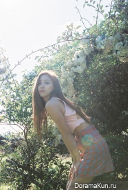 f(x) для 4 Walls
