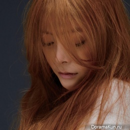 Hwayobi для 820211