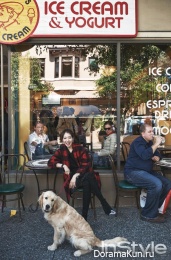 Park Shin Hye для InStyle Korea November 2014