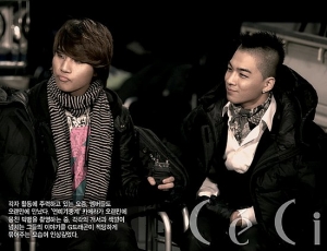 2PM, Big Bang, SHINee, MBLAQ для CéCi December 2009