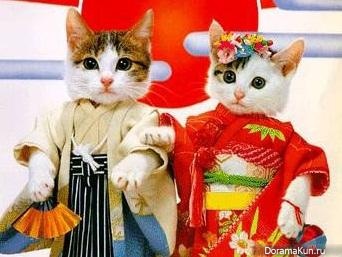 День кошки в Японии