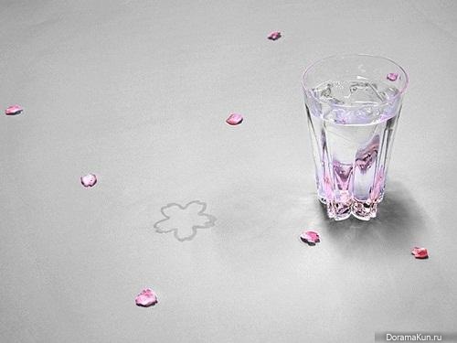 Sakurasaku Glass