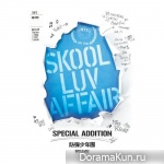 Skool Luv Affair