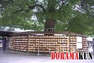 Япония. Храм Мэйдзи.