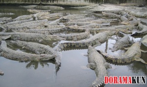 Дьявольская гора
