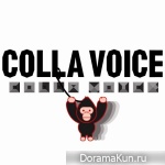 Collavoice – Your Wedding
