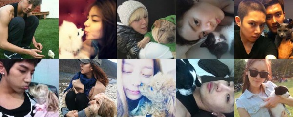 PETS PETS