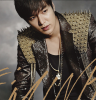 LMH