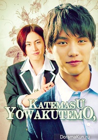 Yowakutemo, Katemasu