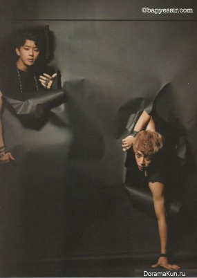 BAP-High Cut