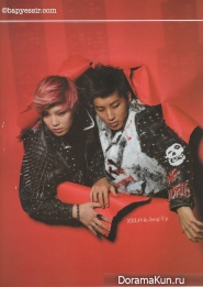 BAP-High Cut