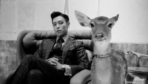 T.O.P из Big Ban T.O.P из Big Ban