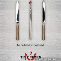 Tiny Times 3.0