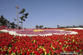 Festival of tulips in Tkheana