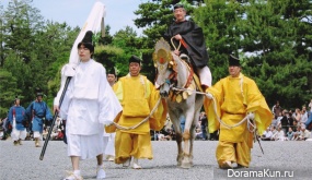 Aoi Matsuri