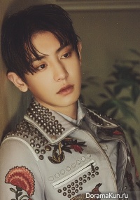 Park Chan Yeol