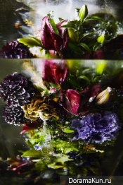 Ice Flowers