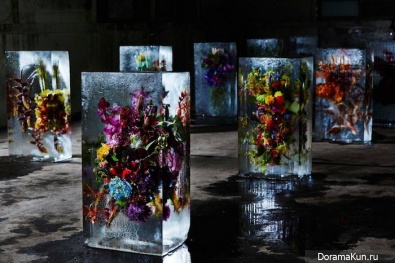 Ice Flowers